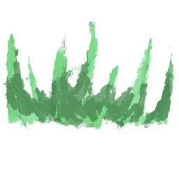 Initial Trail Particle